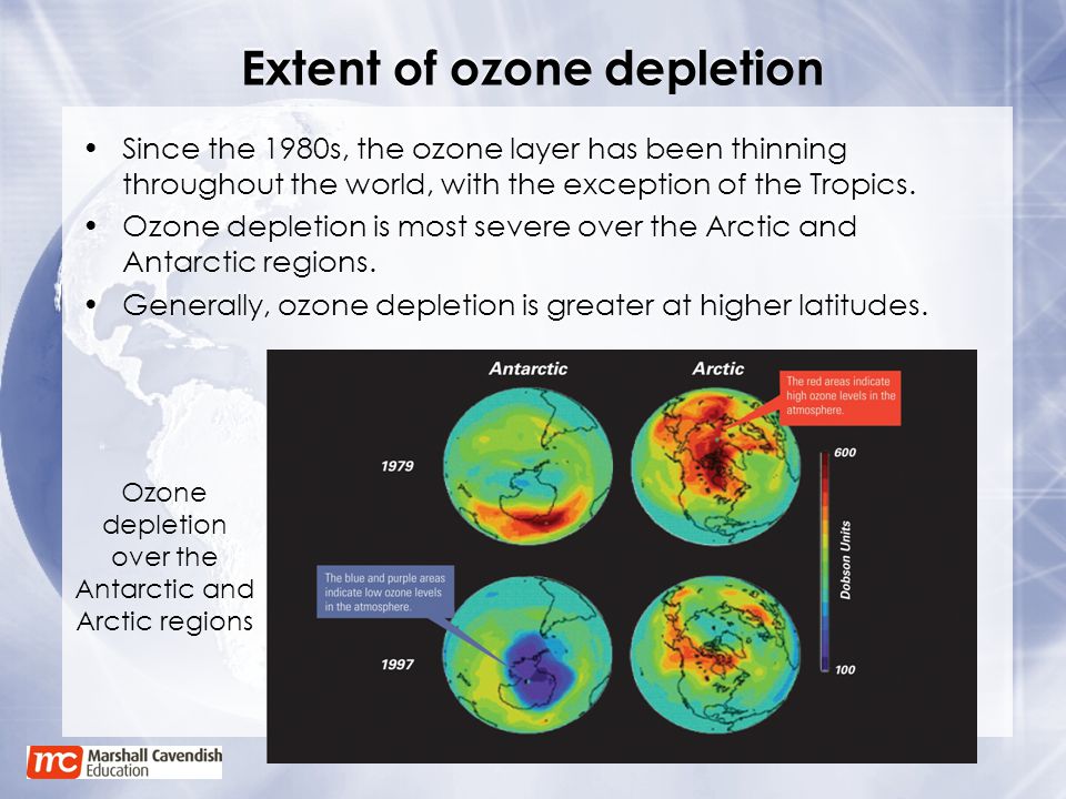 global effects of ozone depletion essay global effects of ozone depletion essay