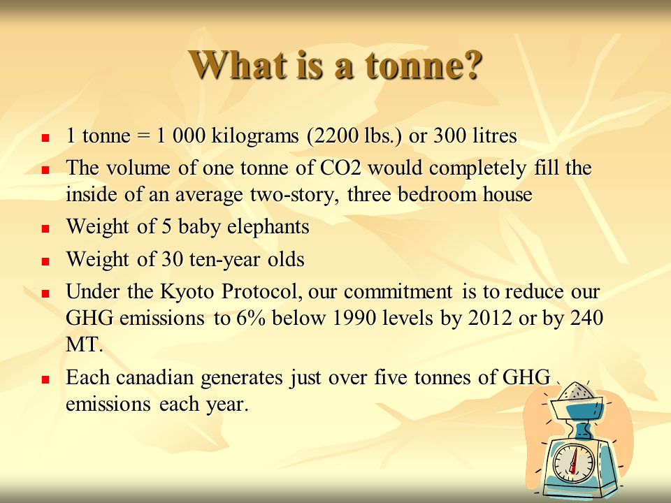 What is a tonne.