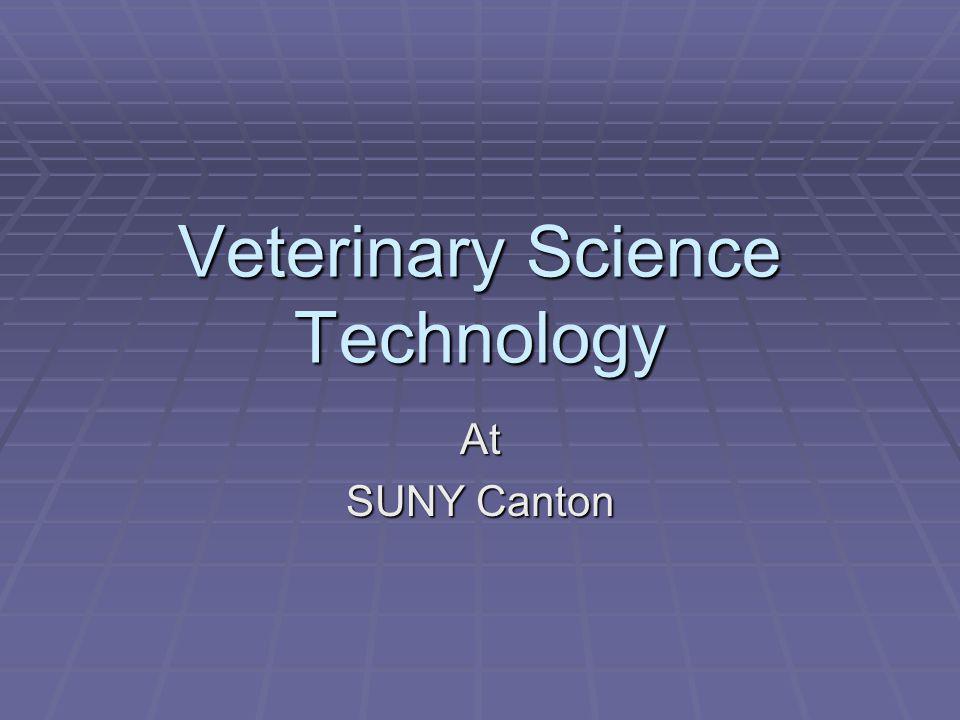 Veterinary Science Technology At SUNY Canton