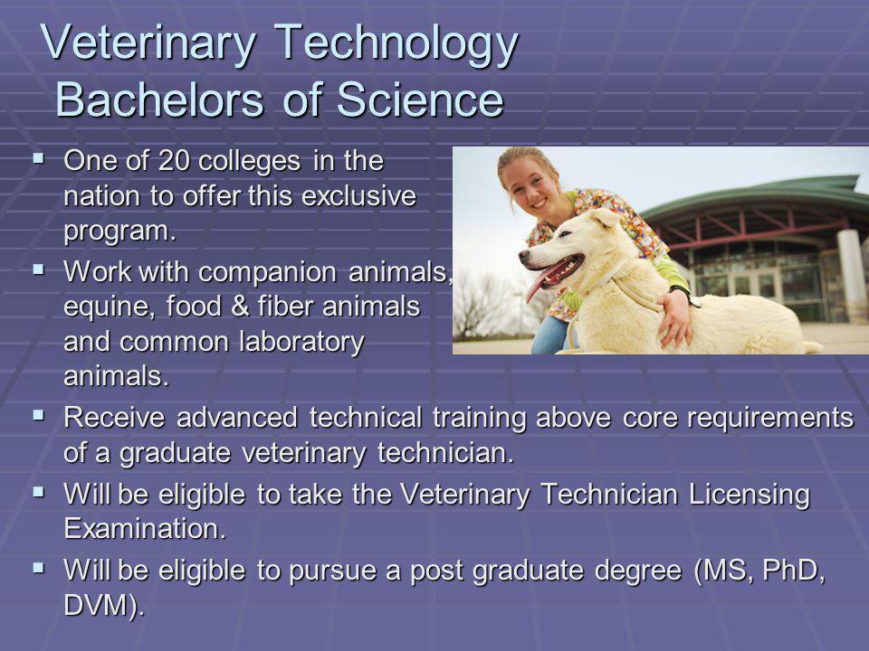 Veterinary Technology Bachelors of Science One of 20 colleges in the nation to offer this exclusive program.