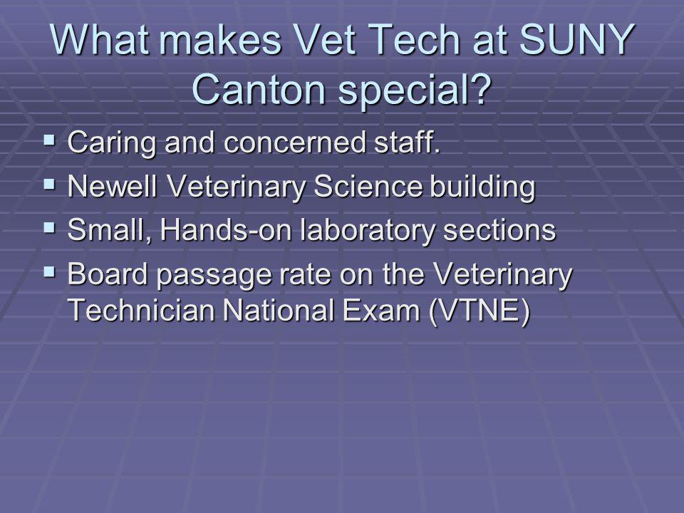 What makes Vet Tech at SUNY Canton special. Caring and concerned staff.