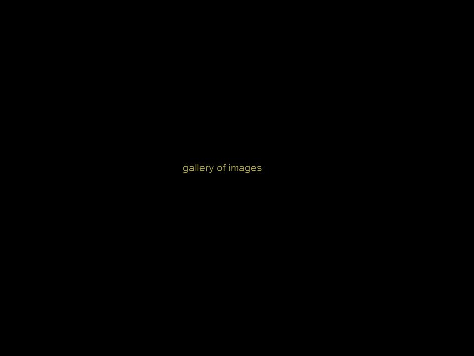 gallery of images
