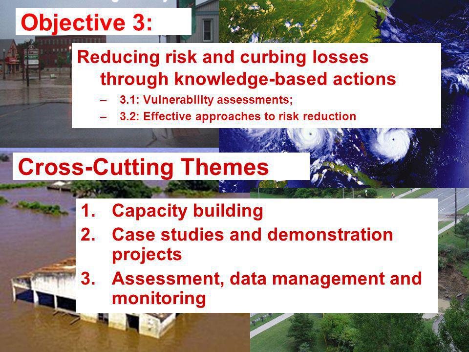 Objective 3: Reducing risk and curbing losses through knowledge-based actions –3.1: Vulnerability assessments; –3.2: Effective approaches to risk reduction 1.Capacity building 2.Case studies and demonstration projects 3.Assessment, data management and monitoring Cross-Cutting Themes