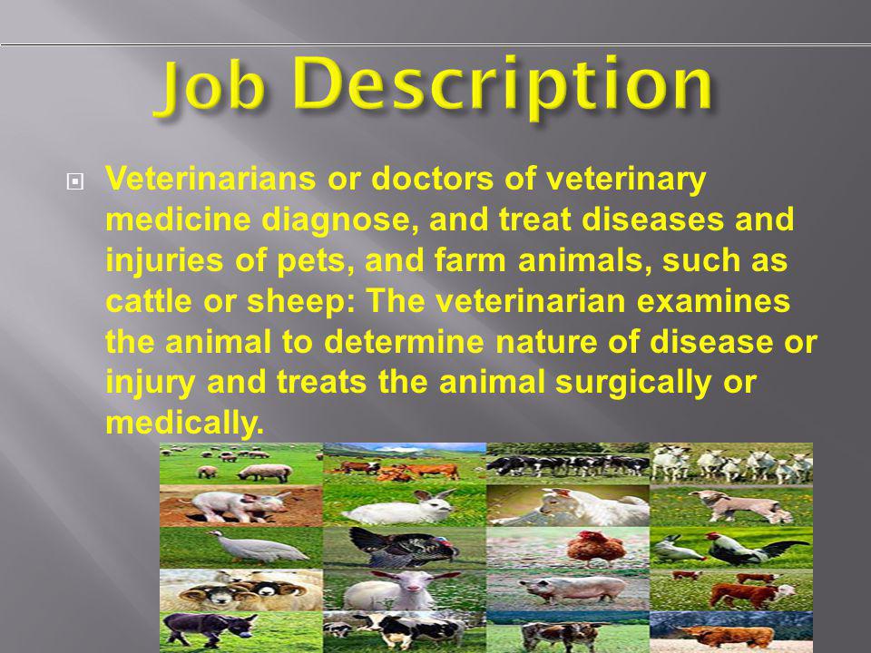 Veterinarians or doctors of veterinary medicine diagnose, and treat diseases and injuries of pets, and farm animals, such as cattle or sheep: The veterinarian examines the animal to determine nature of disease or injury and treats the animal surgically or medically.
