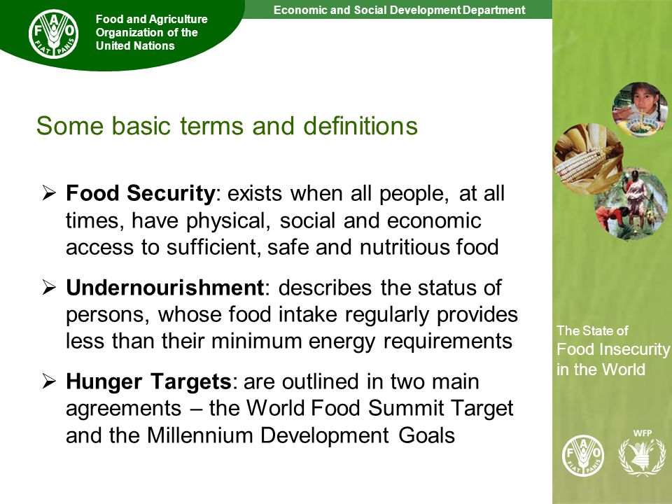 2 The State of Food Insecurity in the World Economic and Social Development Department Food and Agriculture Organization of the United Nations The State of Food Insecurity in the World Some basic terms and definitions Food Security: exists when all people, at all times, have physical, social and economic access to sufficient, safe and nutritious food Undernourishment: describes the status of persons, whose food intake regularly provides less than their minimum energy requirements Hunger Targets: are outlined in two main agreements – the World Food Summit Target and the Millennium Development Goals