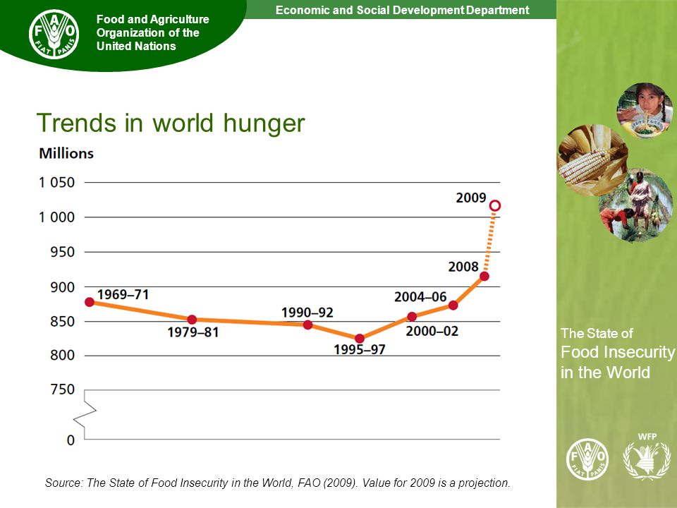 3 The State of Food Insecurity in the World Economic and Social Development Department Food and Agriculture Organization of the United Nations The State of Food Insecurity in the World Source: The State of Food Insecurity in the World, FAO (2009).