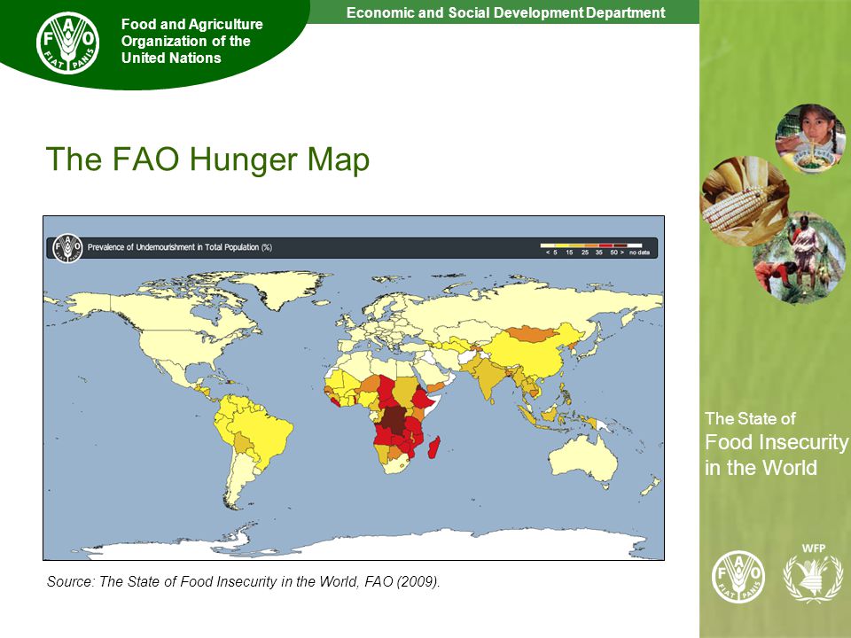 5 The State of Food Insecurity in the World Economic and Social Development Department Food and Agriculture Organization of the United Nations The State of Food Insecurity in the World The FAO Hunger Map Source: The State of Food Insecurity in the World, FAO (2009).