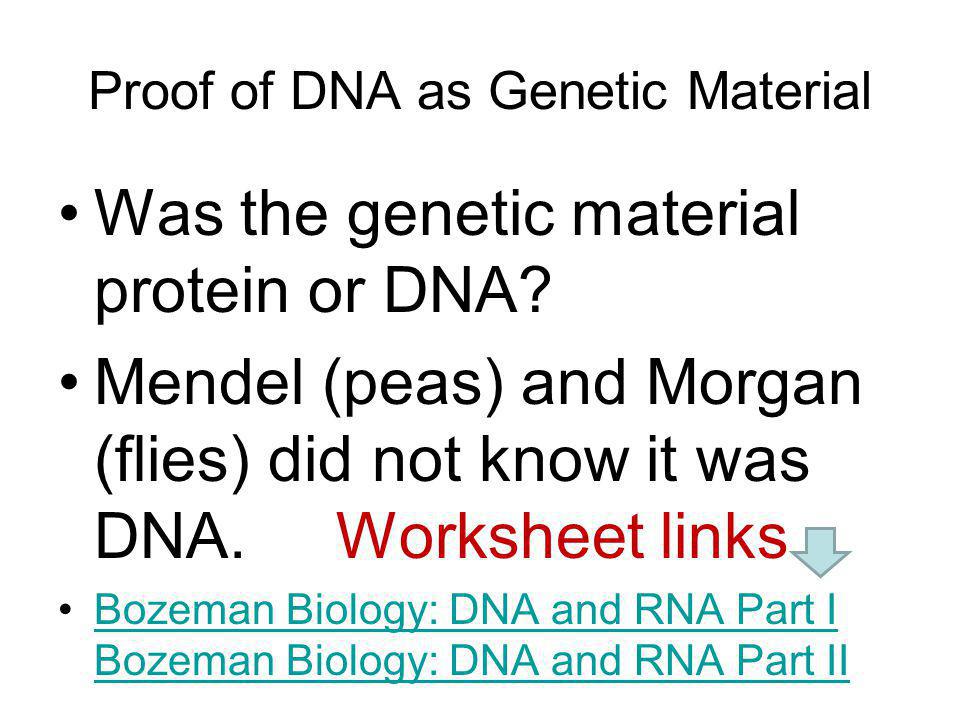 Chapter 11 Dna And Genes Worksheet Answers Sharebrowse Dna And Genes Worksheet Answers Photos Pigmu