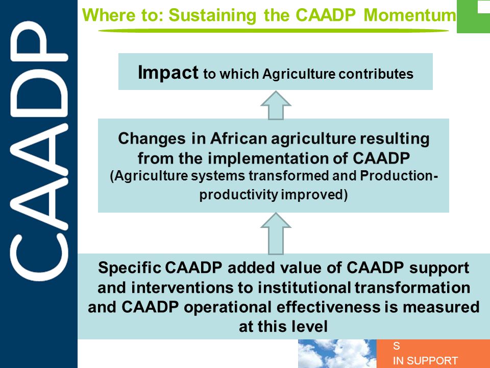 PARTNERSHIP S IN SUPPORT OF CAADP Where to: Sustaining the CAADP Momentum Specific CAADP added value of CAADP support and interventions to institutional transformation and CAADP operational effectiveness is measured at this level Changes in African agriculture resulting from the implementation of CAADP (Agriculture systems transformed and Production- productivity improved) Impact to which Agriculture contributes