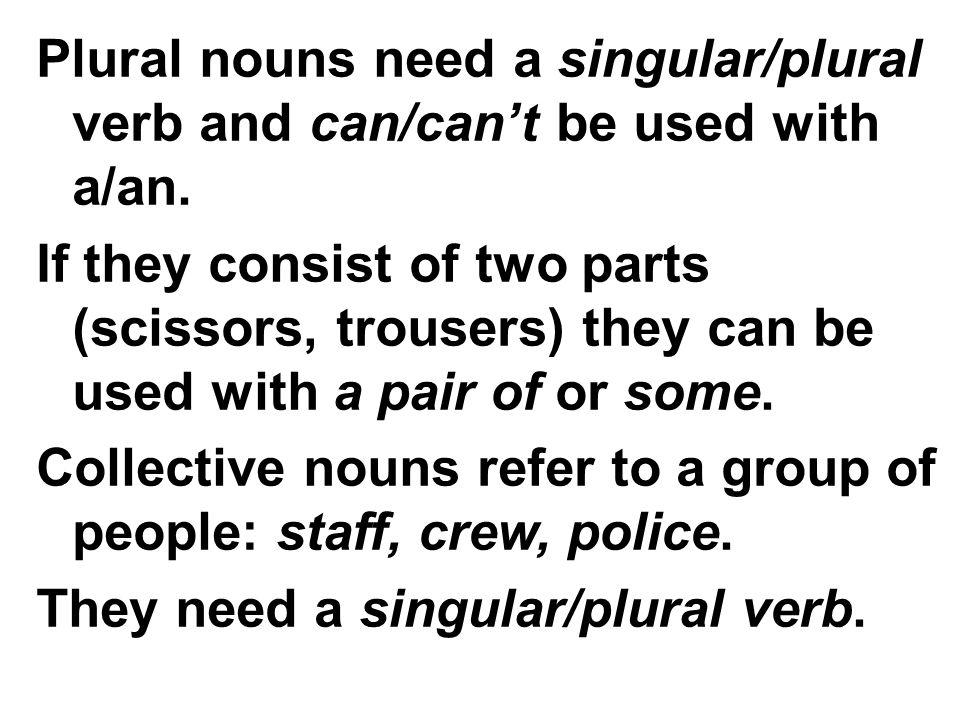 Plural nouns need a singular/plural verb and can/cant be used with a/an.