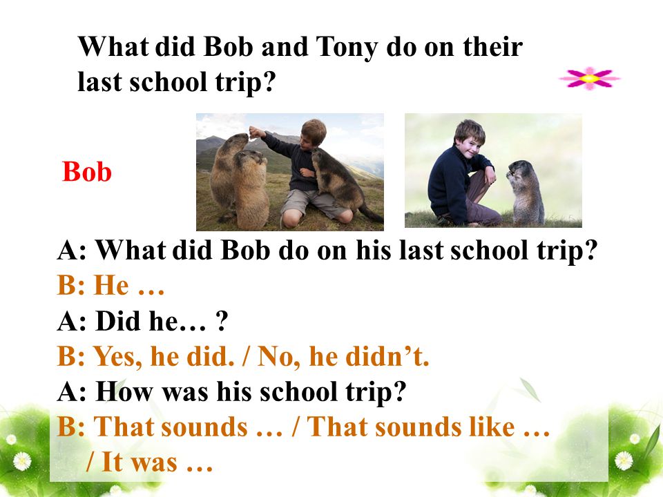Bob What did Bob and Tony do on their last school trip.
