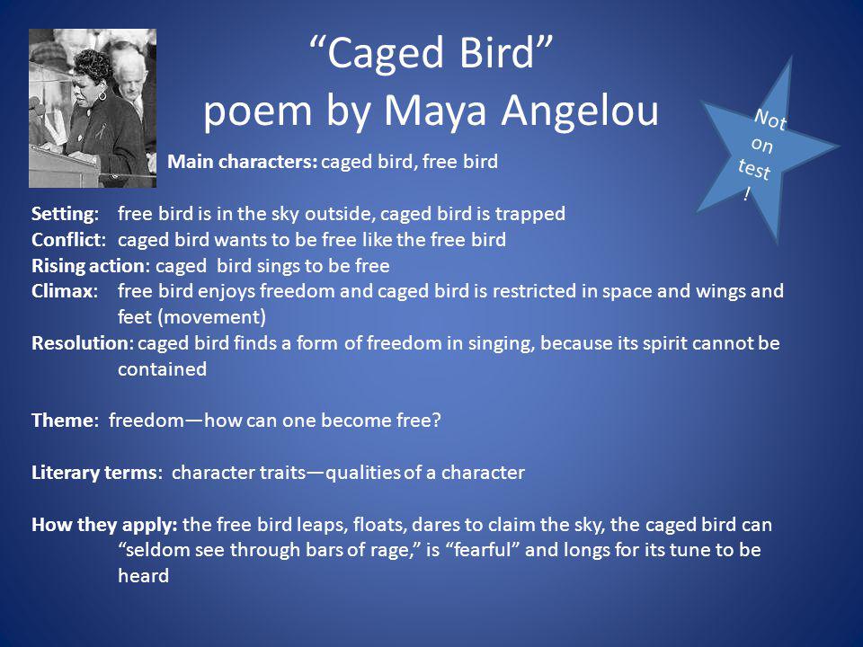 I Know Why The Caged Bird Sings Essay