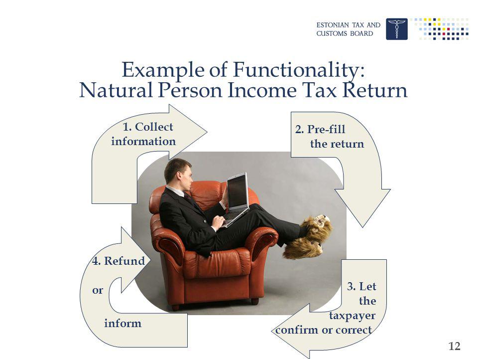 12 Example of Functionality: Natural Person Income Tax Return 1.