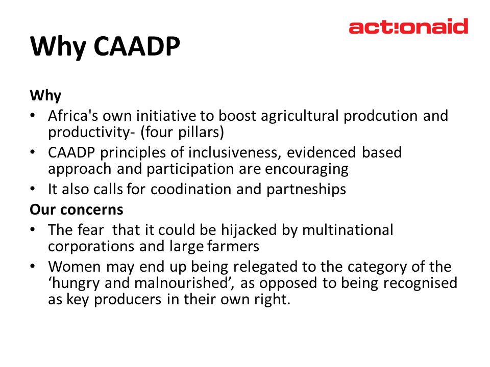 Why CAADP Why Africa s own initiative to boost agricultural prodcution and productivity- (four pillars) CAADP principles of inclusiveness, evidenced based approach and participation are encouraging It also calls for coodination and partneships Our concerns The fear that it could be hijacked by multinational corporations and large farmers Women may end up being relegated to the category of the hungry and malnourished, as opposed to being recognised as key producers in their own right.
