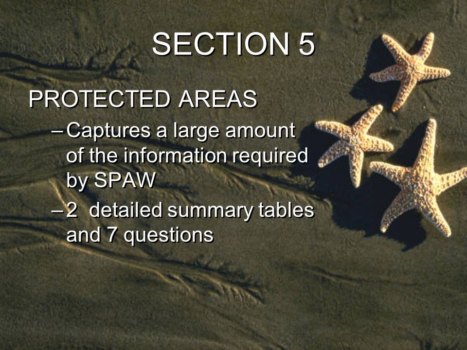 SECTION 5 PROTECTED AREAS –Captures a large amount of the information required by SPAW –2 detailed summary tables and 7 questions PROTECTED AREAS –Captures a large amount of the information required by SPAW –2 detailed summary tables and 7 questions