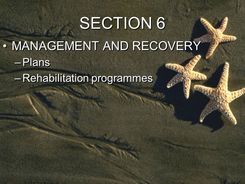 SECTION 6 MANAGEMENT AND RECOVERY –Plans –Rehabilitation programmes MANAGEMENT AND RECOVERY –Plans –Rehabilitation programmes