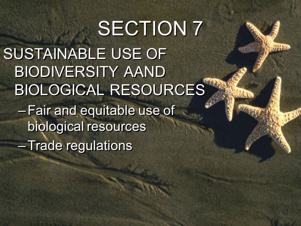 SECTION 7 SUSTAINABLE USE OF BIODIVERSITY AAND BIOLOGICAL RESOURCES –Fair and equitable use of biological resources –Trade regulations SUSTAINABLE USE OF BIODIVERSITY AAND BIOLOGICAL RESOURCES –Fair and equitable use of biological resources –Trade regulations