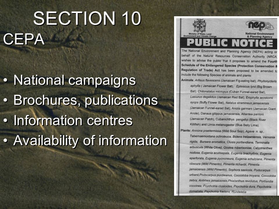 SECTION 10 CEPA National campaigns Brochures, publications Information centres Availability of information CEPA National campaigns Brochures, publications Information centres Availability of information