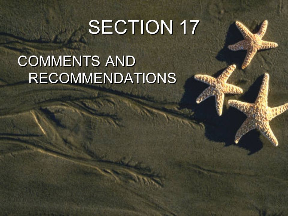 SECTION 17 COMMENTS AND RECOMMENDATIONS