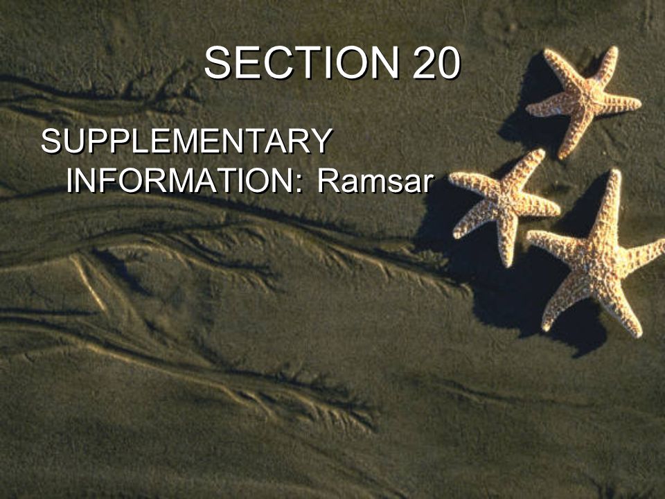 SECTION 20 SUPPLEMENTARY INFORMATION: Ramsar