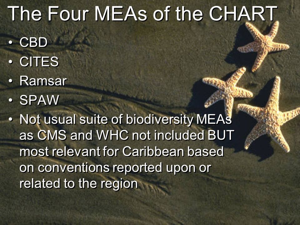 The Four MEAs of the CHART CBD CITES Ramsar SPAW Not usual suite of biodiversity MEAs as CMS and WHC not included BUT most relevant for Caribbean based on conventions reported upon or related to the region CBD CITES Ramsar SPAW Not usual suite of biodiversity MEAs as CMS and WHC not included BUT most relevant for Caribbean based on conventions reported upon or related to the region