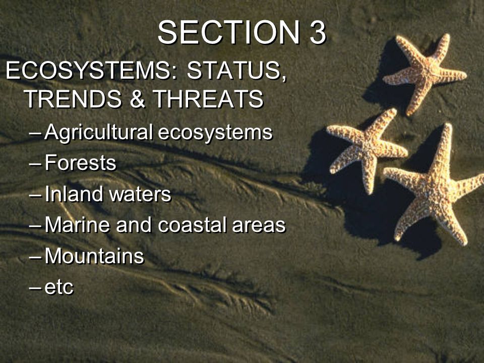 SECTION 3 ECOSYSTEMS: STATUS, TRENDS & THREATS –Agricultural ecosystems –Forests –Inland waters –Marine and coastal areas –Mountains –etc ECOSYSTEMS: STATUS, TRENDS & THREATS –Agricultural ecosystems –Forests –Inland waters –Marine and coastal areas –Mountains –etc