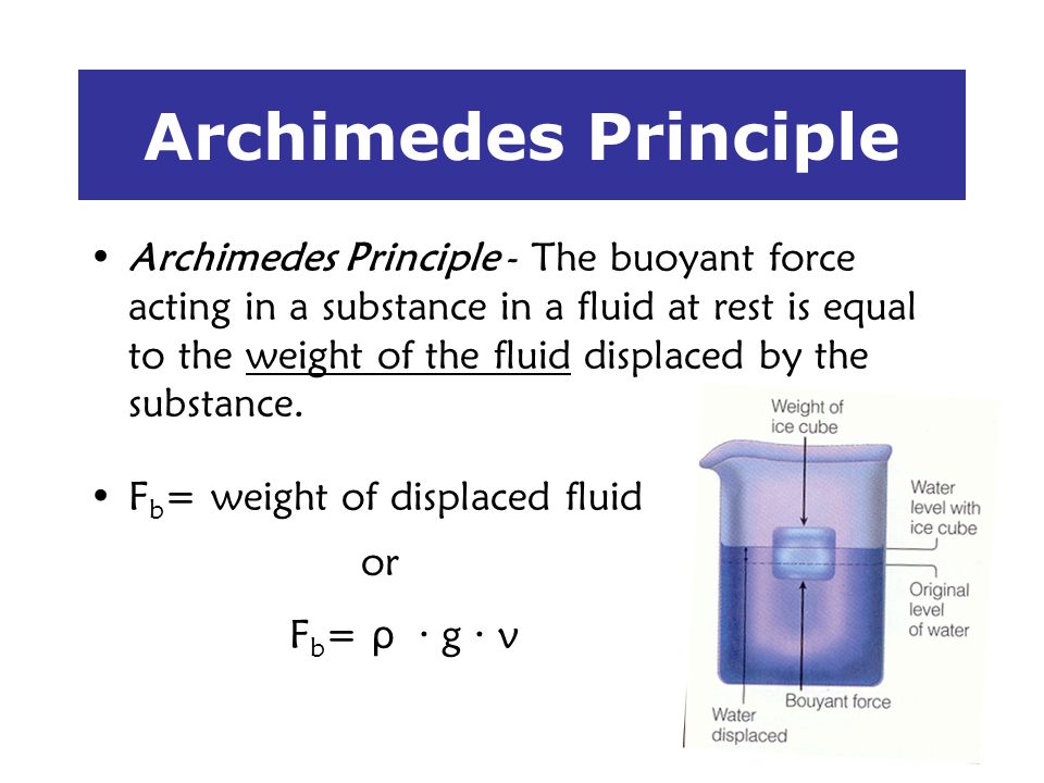 archimedes principle Read all about archimedes' principle in the fluids chapter of shmoop’s physics textbook. archimedes principle Read all about archimedes' principle in the fluids chapter of shmoop’s physics textbook.