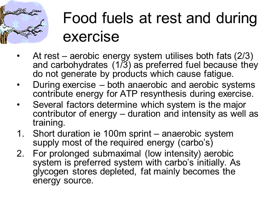 Atp resynthesis energy systems