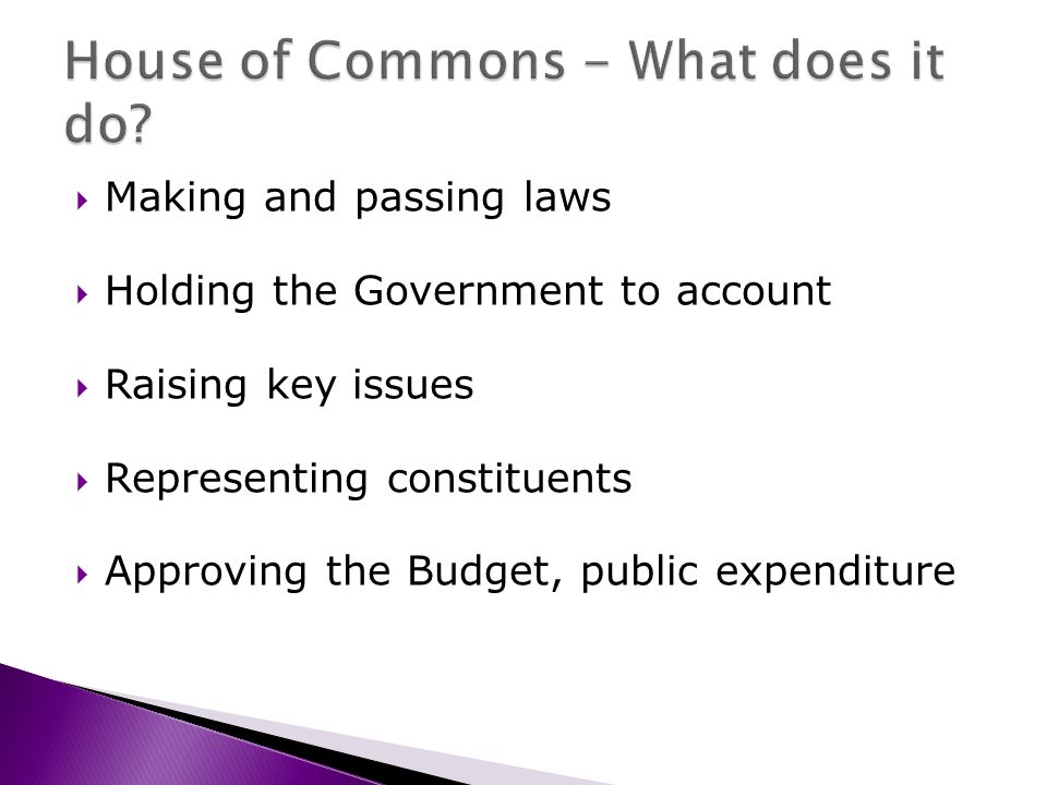 Making and passing laws Holding the Government to account Raising key issues Representing constituents Approving the Budget, public expenditure and allowing government to set taxation.