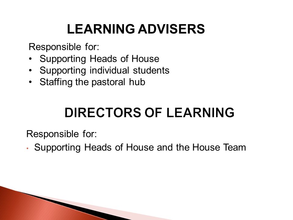 Responsible for: Supporting Heads of House and the House Team LEARNING ADVISERS Responsible for: Supporting Heads of House Supporting individual students Staffing the pastoral hub
