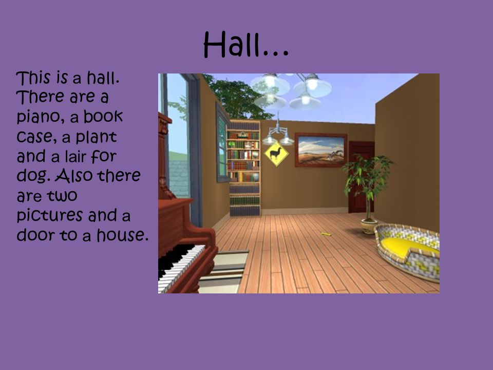Hall… This is a hall. There are a piano, a book case, a plant and a lair for dog.