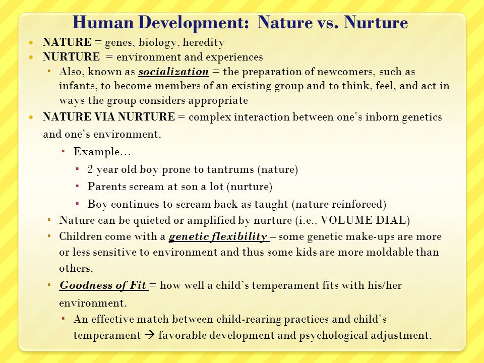 Essay Writing About Nature