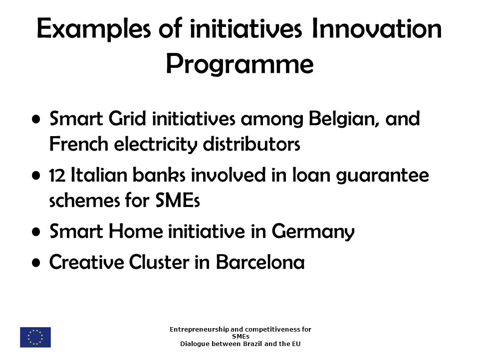 Entrepreneurship and competitiveness for SMEs Dialogue between Brazil and the EU Examples of initiatives Innovation Programme Smart Grid initiatives among Belgian, and French electricity distributors 12 Italian banks involved in loan guarantee schemes for SMEs Smart Home initiative in Germany Creative Cluster in Barcelona