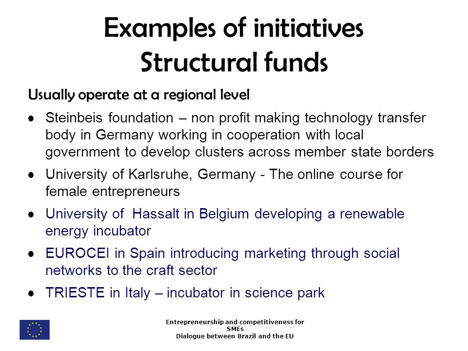 Entrepreneurship and competitiveness for SMEs Dialogue between Brazil and the EU Examples of initiatives Structural funds Usually operate at a regional level Steinbeis foundation – non profit making technology transfer body in Germany working in cooperation with local government to develop clusters across member state borders University of Karlsruhe, Germany - The online course for female entrepreneurs University of Hassalt in Belgium developing a renewable energy incubator EUROCEI in Spain introducing marketing through social networks to the craft sector TRIESTE in Italy – incubator in science park