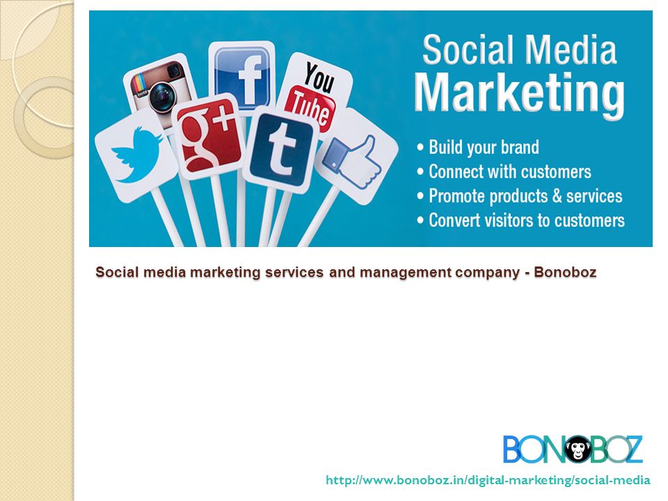 Social media marketing services and management company - Bonoboz