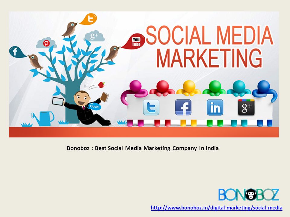 Bonoboz : Best Social Media Marketing Company In India