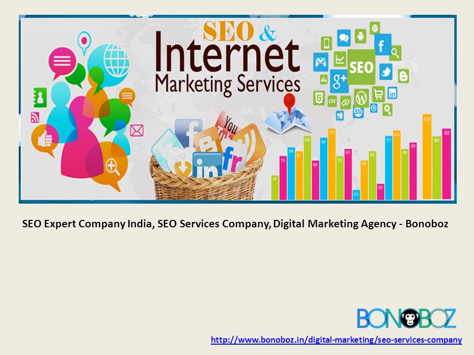 SEO Expert Company India, SEO Services Company, Digital Marketing Agency - Bonoboz
