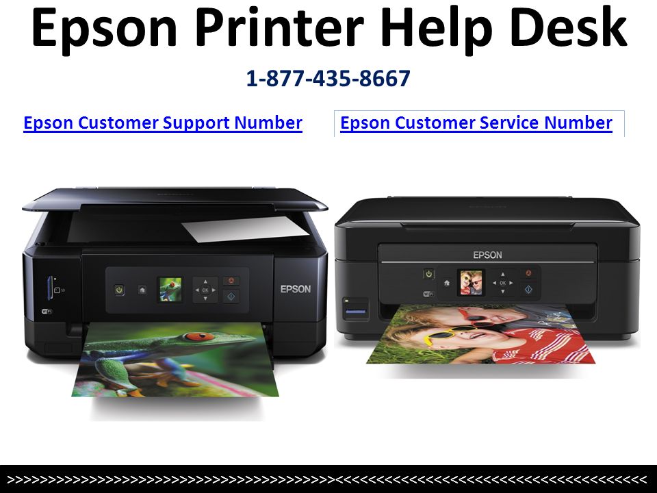 Epson Printer Help Desk Epson Customer Support Number Epson Customer Service Number >>>>>>>>>>>>>>>>>>>>>>>>>>>>>>>>>>>>>>>><<<<<<<<<<<<<<<<<<<<<<<<<<<<<<<<<<<<<<
