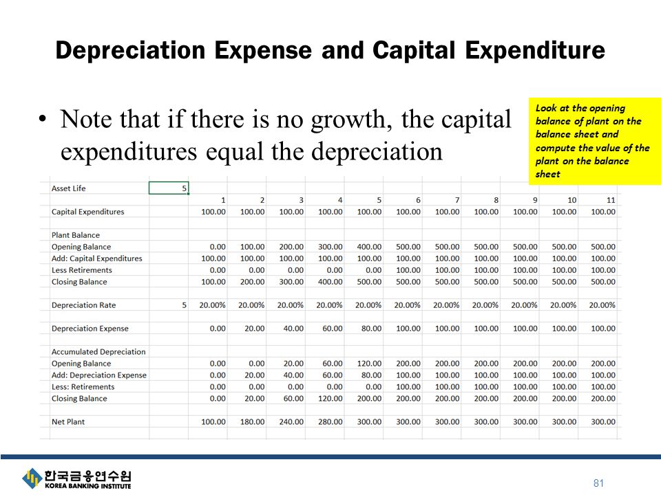 objectives fundamental accounting concepts and elements of income capital expenditure in balance sheet