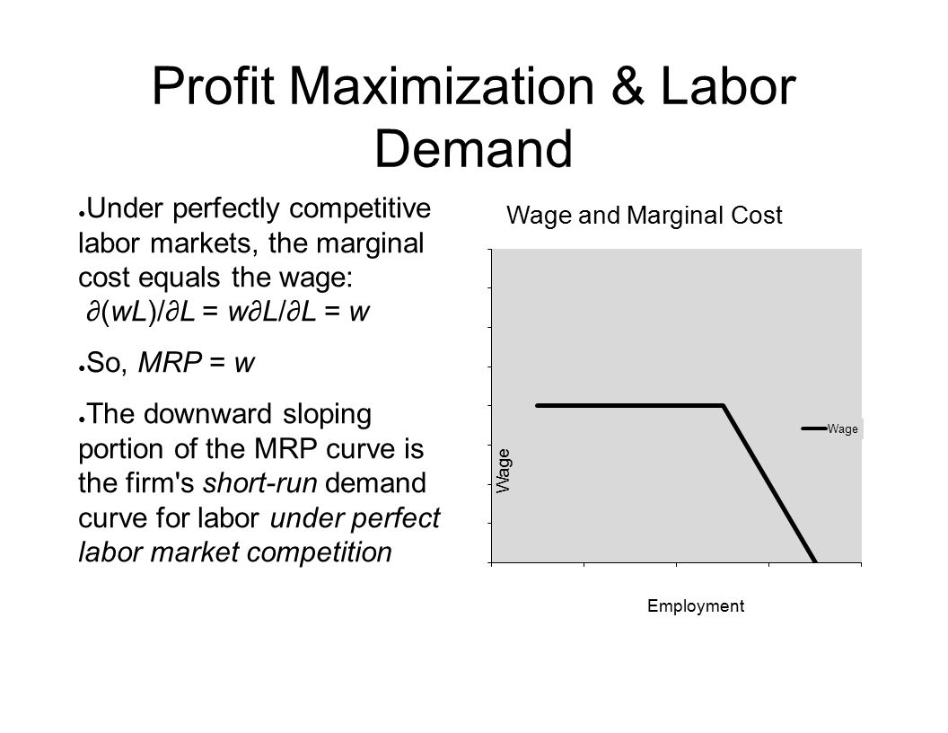 economics and maximization Behavioral economics is the study of psychology as it relates to the economic are economists' assumptions of utility or profit maximization good approximations of. economics and maximization Behavioral economics is the study of psychology as it relates to the economic are economists' assumptions of utility or profit maximization good approximations of.