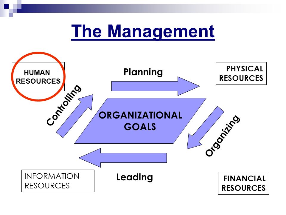 human resources management plan A professional development plan is created by the manager working closely with the staff member to identify the and project management duke human resources. human resources management plan A professional development plan is created by the manager working closely with the staff member to identify the and project management duke human resources.