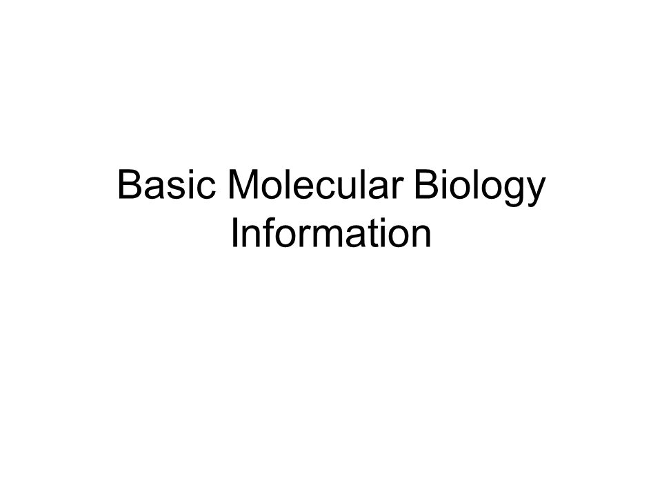 basic molecular biology information. central dogma of molecular basic molecular biology information. central dogma of molecular, Presentation templates