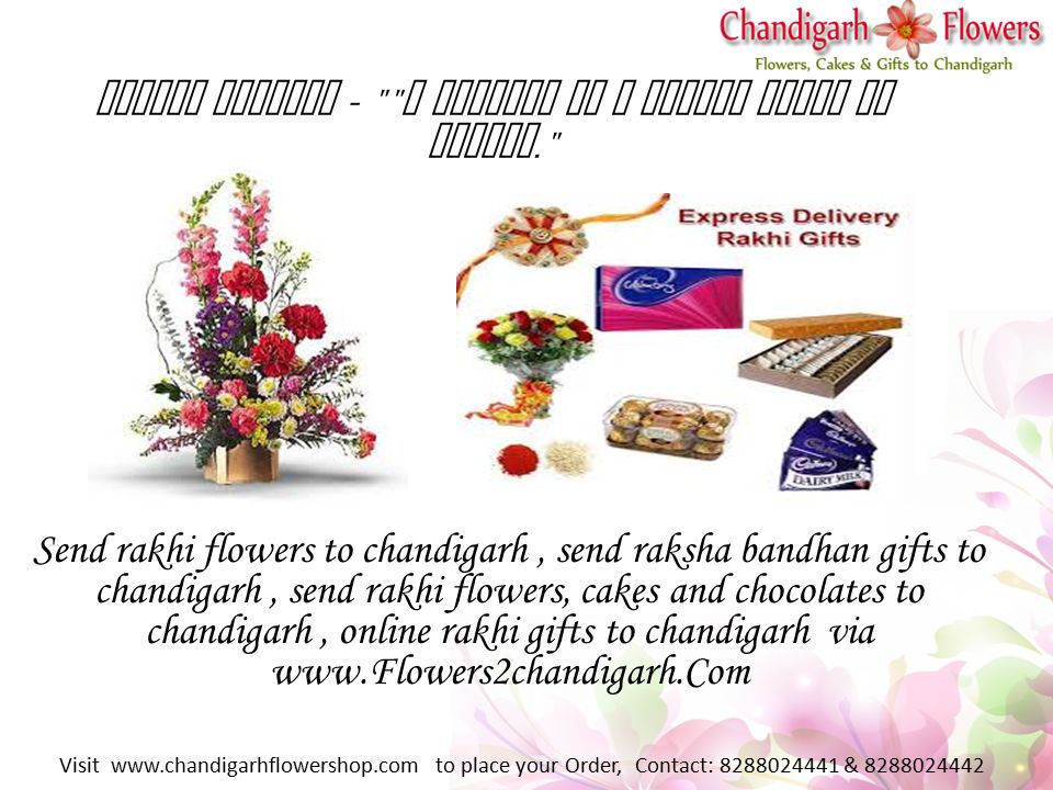 Raksha Bandhan - A brother is a friend given by Nature. Send rakhi flowers to chandigarh, send raksha bandhan gifts to chandigarh, send rakhi flowers, cakes and chocolates to chandigarh, online rakhi gifts to chandigarh via   Visit   to place your Order, Contact: &