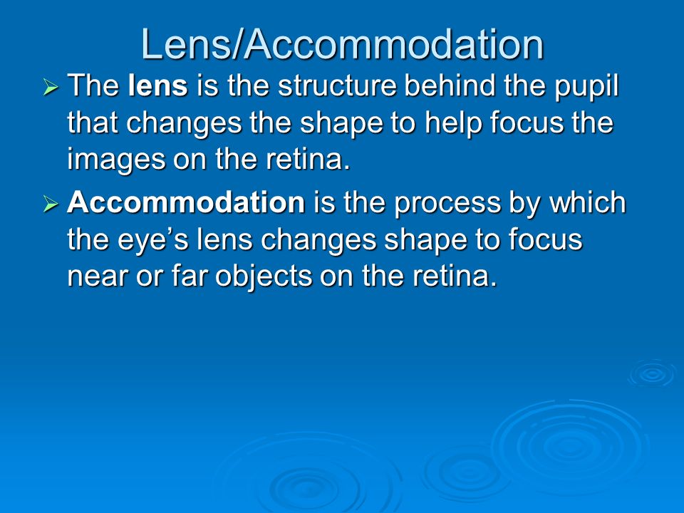 the eye the pupil a small adjustable opening its size and the amount of light entering the eye is regulated by the size of the