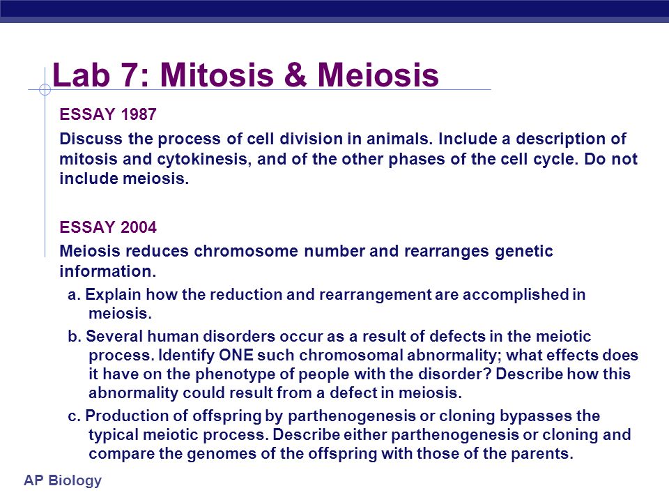 human cloning essays essay about