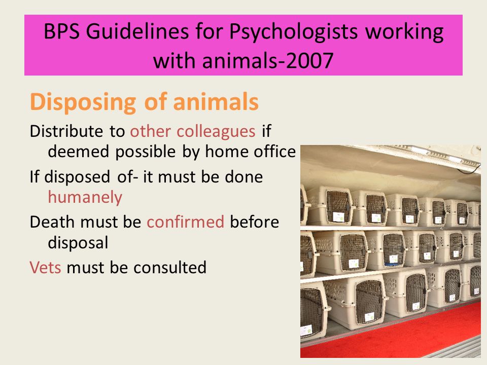 Home office project licence application Home office project licence application