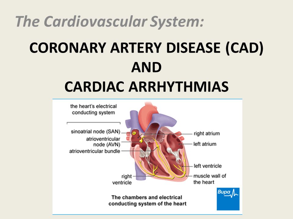 coronary heart disease and vitamin e Objectives our objective was to prospectively examine the relation between vitamin c intake and risk of coronary heart disease (chd) in women background results from prospective investigations of the relation between vitamin c intake and risk of chd have been inconsistent. coronary heart disease and vitamin e Objectives our objective was to prospectively examine the relation between vitamin c intake and risk of coronary heart disease (chd) in women background results from prospective investigations of the relation between vitamin c intake and risk of chd have been inconsistent.