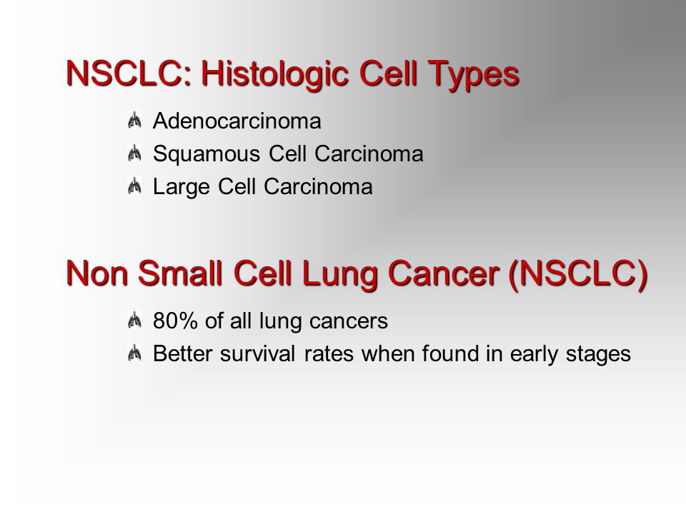 Small cell lung cancer survial rate
