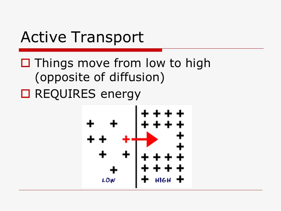 Active Transport  Things move from low to high (opposite of diffusion)  REQUIRES energy