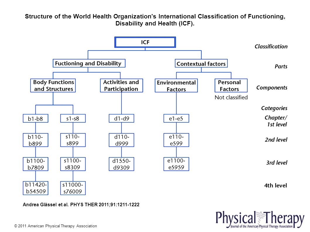 Structure of the World Health Organization s International Classification of Functioning, Disability and Health (ICF).